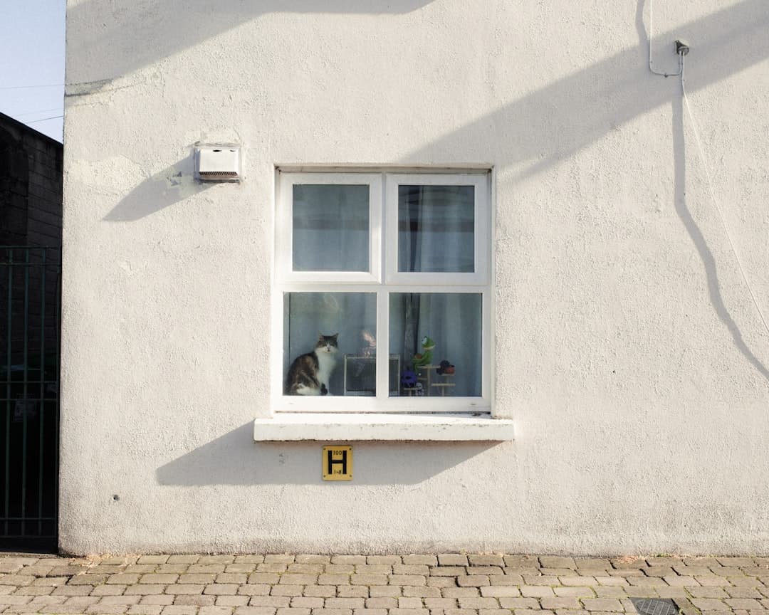 Choose Your Landlord Carefully!